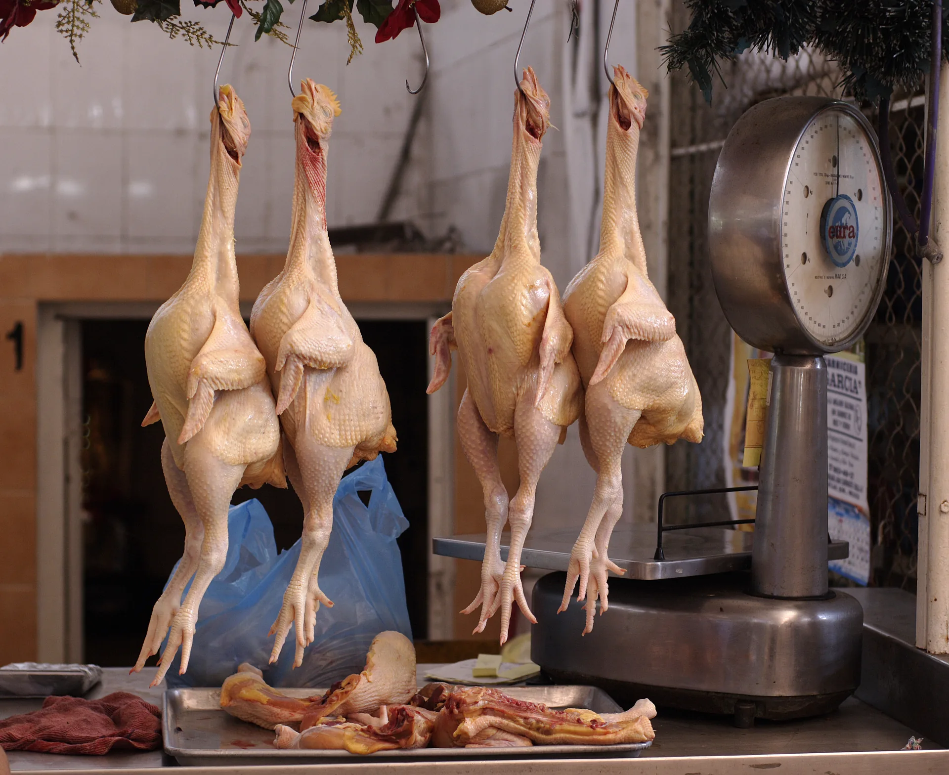 Fresh chicken
